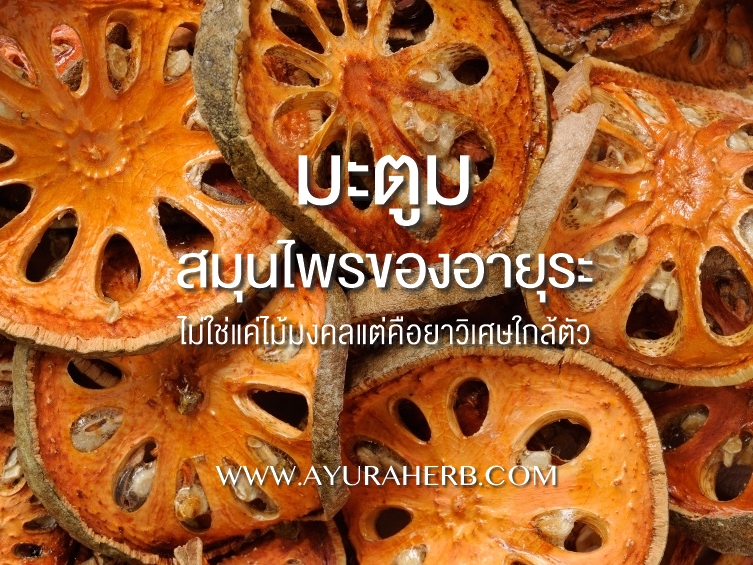 Images/Blog/qfii4voY-bael_fruit_640x480_TEXT.jpg