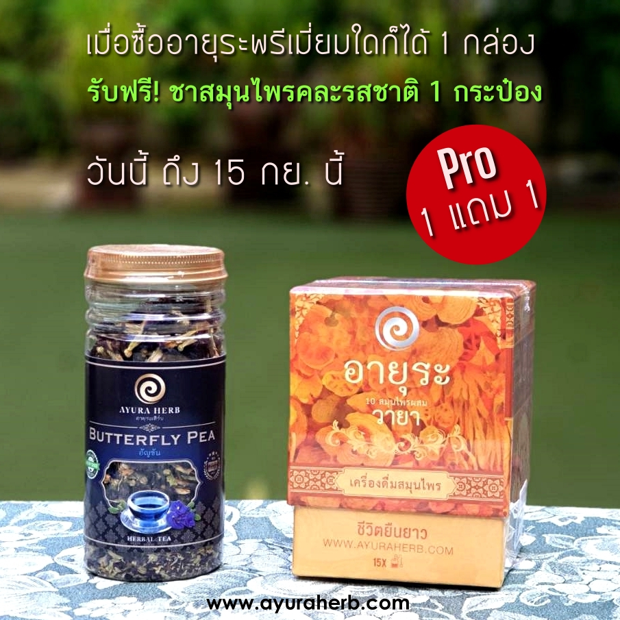 Images/Blog/t1q1QJWA-WayaandButterflyPea_square_text promotion1.jpg