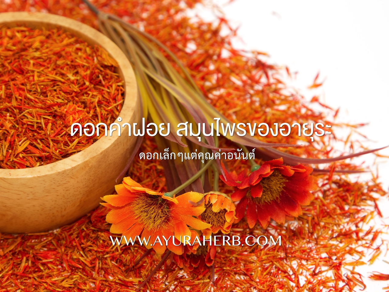Images/Blog/txAxEXdE-safflower_640x480_TEXT_resize.jpg